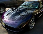 Show me your NON-Stock Paint colors - Corvette Forum Car pai