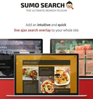 WP Sumo Search - Красивый ajax поиск по сайту Складчина Клуб