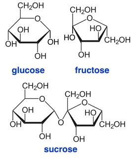 Fructose Structure Ring Glucose Sucrose Galactose Template C