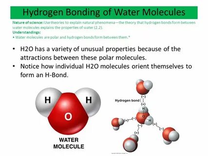 Ch 3: The Polarity of Water and Its Properties - ppt video o