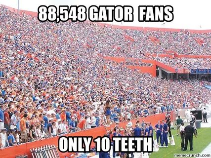 Florida gator hate Memes