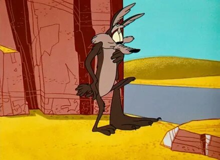 Looney Tunes Pictures: Wile E. Coyote Looney tunes cartoons,