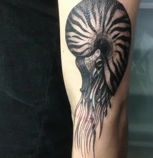 Nautilus Tattoo Nautilus tattoo, Body art tattoos, Tattoos