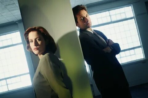 The X-Files HD Wallpaper Background Image 3600x2395