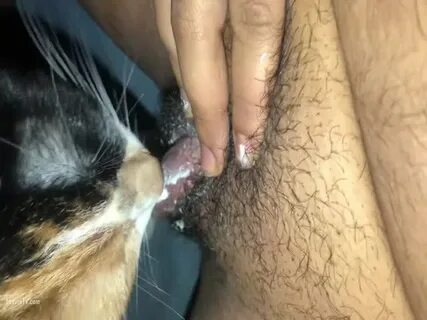 The Cat Licked Pussy