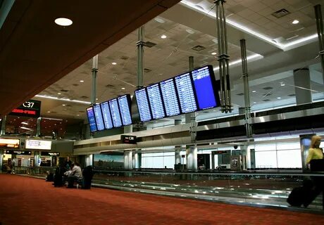 Concourse C Denver International Airport Scorpions and Centa