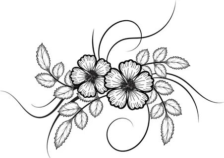 Chalk Flower Drawing Png - Flower Drawing Png - (1105x800) P