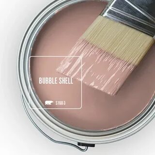 Color of the Month: Bubble Shell - Colorfully BEHR Paint col