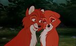 TODD & VIXIE The fox and the Hound, 1981 (SO... this is love