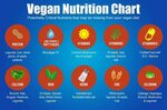 Gallery of plant based nutrition chart - vegan nutrition cha