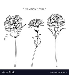 Minimalist Carnation Tattoo Simple - flowerkamilia