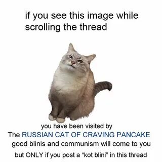 You have been visited by the Russian cat of craving of panca