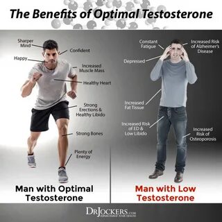 12 Ways to Boost Testosterone Levels Naturally - DrJockers.c