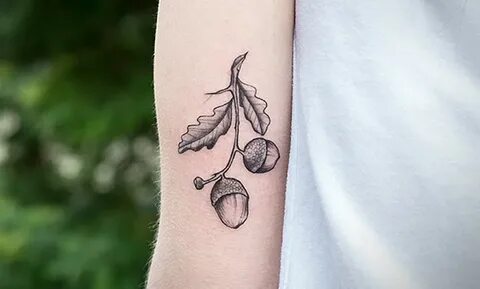 Acorn tattoos: meaning and collection of designs Tattooing