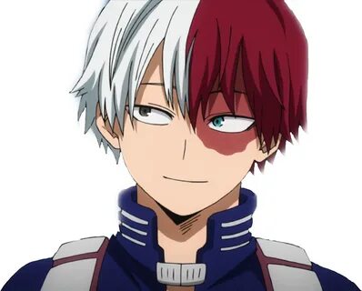 todoroki_shouto 322572609550211 by @boomboombiscuit