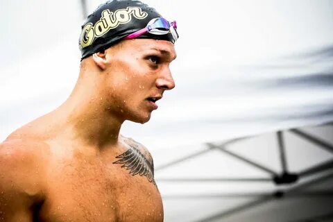 Caeleb Dressel : Caeleb Dressel Miserable Out Of Water Gets 