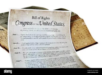 Essay about the bill of rights