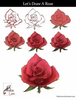 Let's Draw A Rose by HalanLore on DeviantArt Flower drawing,
