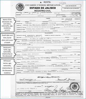 Mexican Birth Certificate Template Awful Mexican Birth Inten