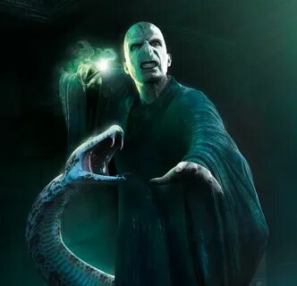 Lord Voldemort and nagini Harry potter artwork, Harry potter