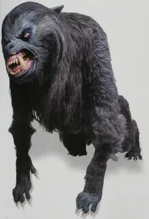 Full sized werewolf body unit used in 'An American Werewolf 