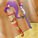 Shantae's New Master Art for art sake, Castle crashers, Mast