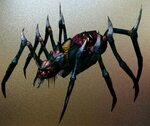 File:Spider1.jpg - SacredWiki