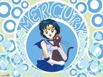 Sailor Mercury - Mizuno Ami page 2 of 27 - Zerochan Anime Im