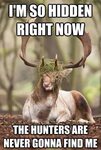 a funny deer hunting pictures - Dump A Day