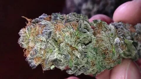 BlueberryYum Yum (Purple Kush edit