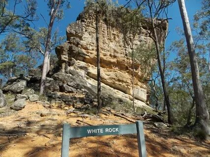 White Rock Ridge Hike - Aussie Bushwalking
