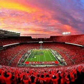 Huge OSU fan having grown up in Columbus, OH. Ohio state buc