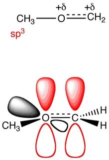 Hybridization OChemPal