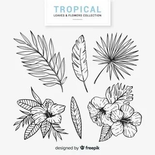 Free Vector Lovely hand drawn tropical flower collection Flo