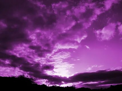 Colors Photo: purple sky