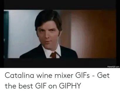 🐣 25+ Best Memes About Catalina Wine Mixer Meme Catalina Win