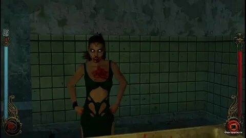 Vampire The Masquerade: Bloodlines. A Malkavian meets Pisha.