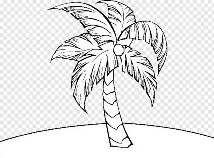 Palmera - Palmeras Para Colorear, Transparent Png - 601x442 