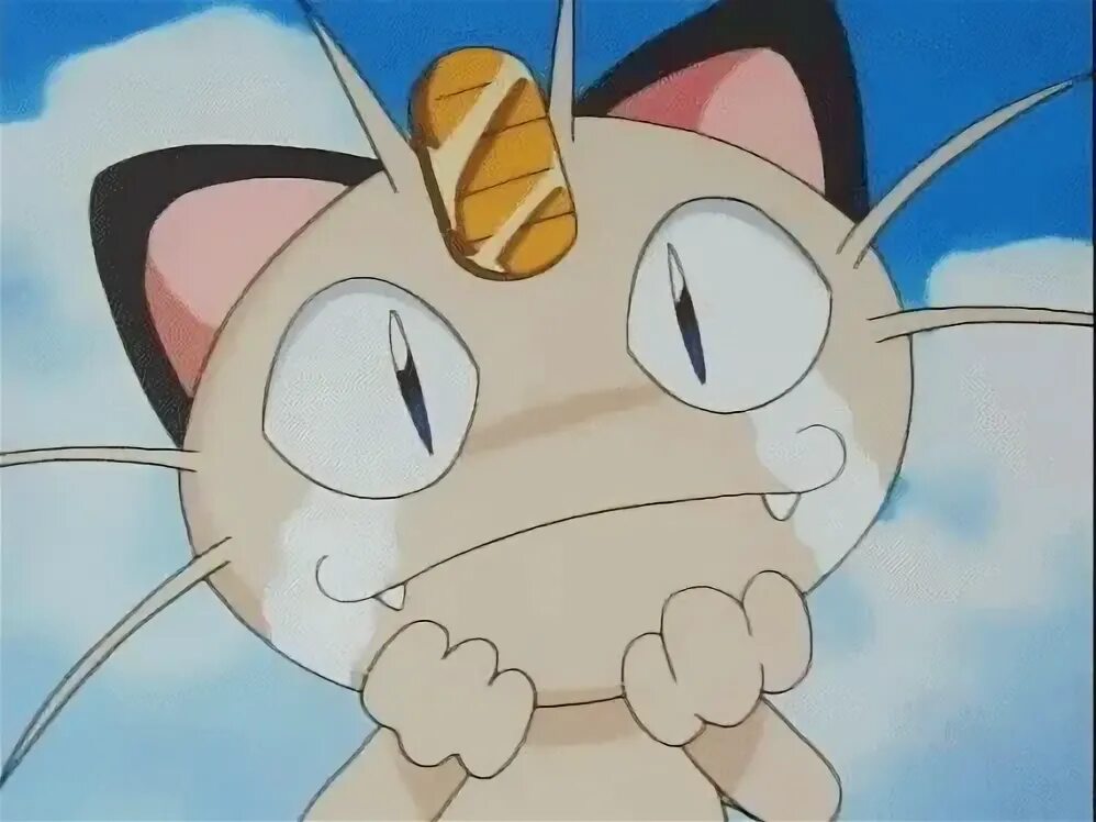 Meowth anime pokemon GIF - Find on GIFER