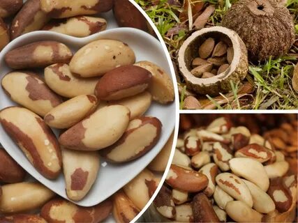 Solve jigsaw puzzles online - Brazil nuts
