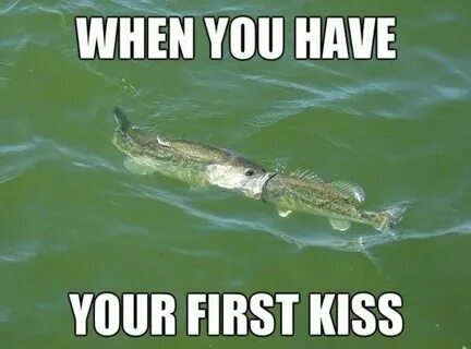 Funny fish memes memes Funny pictures, Funny memes, Kiss mem