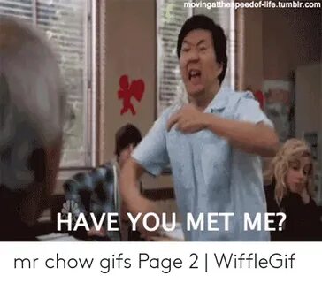 🐣 25+ Best Memes About Mr Chow Gifs Mr Chow Gifs Memes