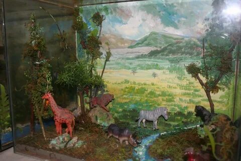 ecosystem in the Savannah Ecosystems diorama, Biomes, Dioram