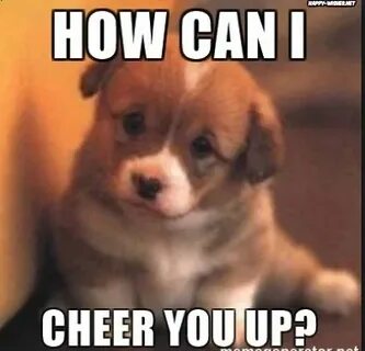 Best Cheer Up Memes - Funny images to Cheer You Up