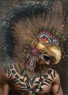 Aztec Eagle Warrior' Metal Poster Print - Eva Nev Displate i