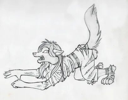 Werewolf Tail Tf : Randwulf Go Zan ãƒ © ãƒ³ãƒ*ã‚¦ ãƒ"ãƒ* ã'`