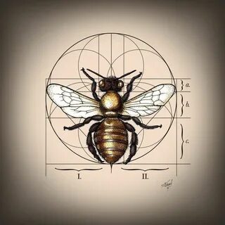 Geometrical Bee Рисунки