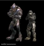 Sangheili Halo Alpha Fandom Halo armor, Fantasy creatures ar