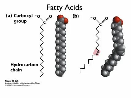 Chemistry 2100 Lecture ppt video online download