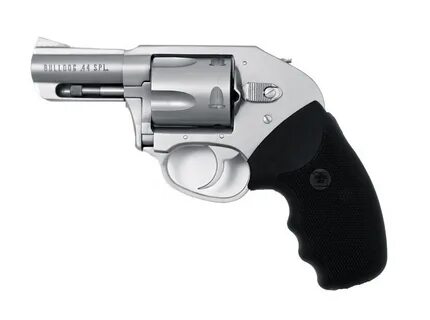 Charter Arms Bulldog On Duty 44 Special Revolver Palmetto St